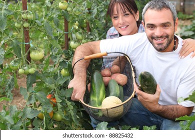 Couple Growing Vegetables