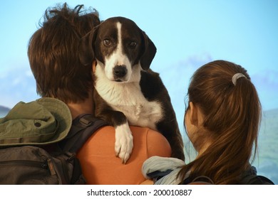 Couple Hiking With Dog, Rear View.