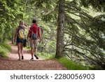 A couple is hiking the forest path on a beautiful day. Trip, nature, hiking