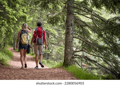 A couple is hiking the forest path on a beautiful day. Trip, nature, hiking