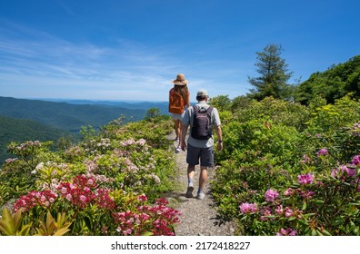 Couple hiking on summer vacation trip. Friends  hiking in the mountains. Milepost. Near Asheville, Blue Ridge Mountains, North Carolina, USA. - Shutterstock ID 2172418227