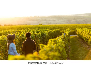 Couple holding hands at sunset in a winery filed - Shutterstock ID 1055695637