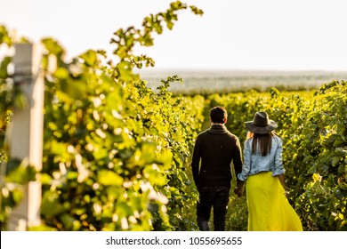 Couple Holding Hands At Sunset In A Winery Filed