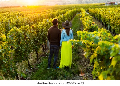 Couple Holding Hands At Sunset In A Winery Filed