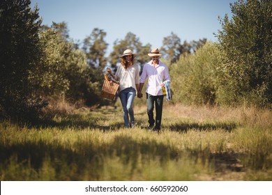 Couple holding hands while carrying picnic basket at olive farm - Powered by Shutterstock