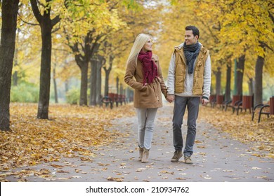 Couple holding hands while walking in park during autumn