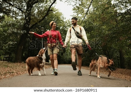 Couple holding hands while walking with their two dogs on a forest road. Concept of togetherness, travel, and outdoor activity