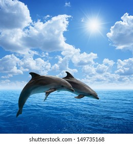 Couple jumping dolphins, blue sea and sky, white clouds, bright sun