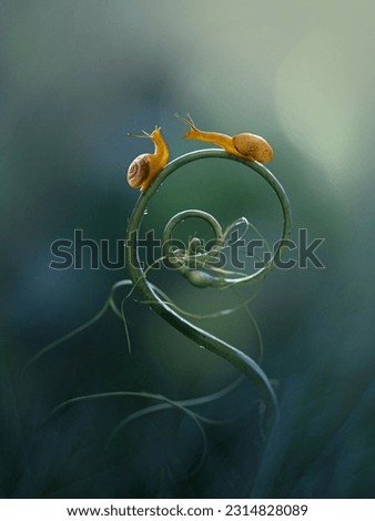 Couple little snail on the spiral plant