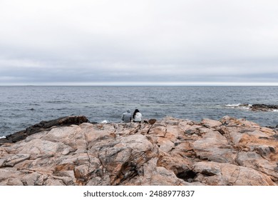 Couple in love, a man and a woman are sitting on a rocky seashore. High quality photo - Powered by Shutterstock