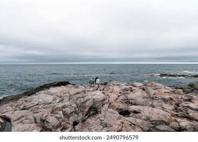 Couple in love, a man and a woman are sitting on a rocky seashore. High quality photo - Powered by Shutterstock