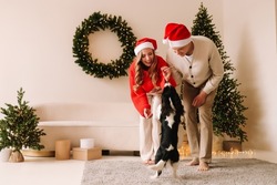 A Couple In Love In Red Santa Claus Hats Give Gift Boxes, Play With A Pet Dog And Celebrate The Christmas Holiday In The Decorated Interior Of The House. Selective Focus