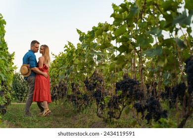 A couple in love stands with their backs and hugs in a vineyard with crowns of blue grapes before the grape harvest - Powered by Shutterstock