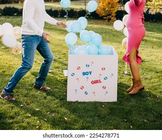 Couple of man and pregnant woman opening a box with blue balloons at a gender reveal party. - Shutterstock ID 2254278771