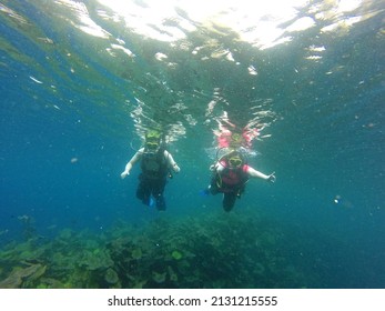 Couple Of Man And Woman Dive Underwater With The Oxygen Tank Equipment, Vest, Snorkel, Fins, Regulator Enjoy The Sport Activity
