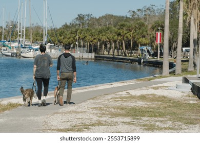 Couple man and woman walking away on left side sidewalk leading lines sea wall towards Gulfport Florida Marina on a sunny day.  Walking dog Palm trees on right calm water with sailboats masts and tree - Powered by Shutterstock