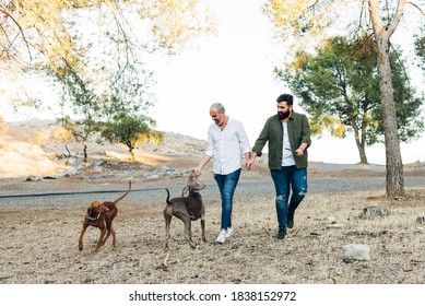 Couple of mature men laughing and holding hands walking in nature on an autumn afternoon while walking with their dogs - Powered by Shutterstock