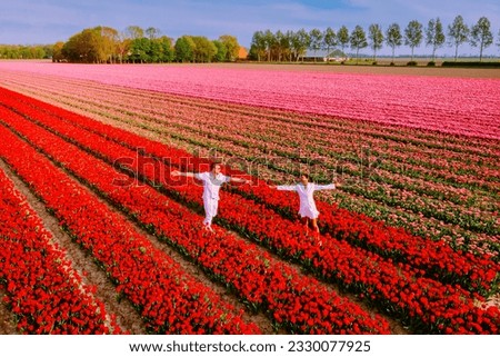 couple of men and woman in a flower field in the Netherlands during Spring, orange red tulips field near Noordoostpolder Flevoland Netherlands, men and woman in Spring evening sun, flowers Stock foto © 