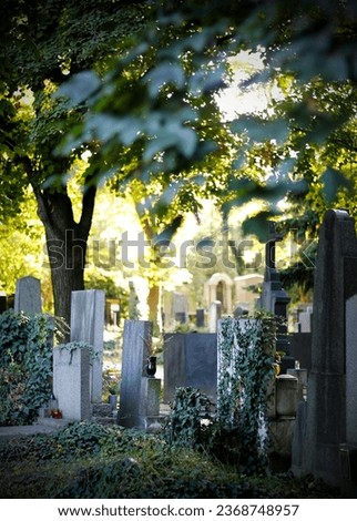 Couple of old gravestones under trees 
and beautiful bokeh lights in the background.  Abandoned graves at Vinohrady cemetary in Prague, Czech Republic. Death and life concept.