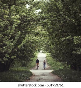 Couple on bicycles rides on the road. - Shutterstock ID 501953761