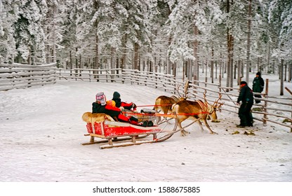 Couple On Reindeer Sleigh Finland Rovaniemi Stock Photo (Edit Now ...