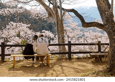 A couple on a wood bench enjoy Hanami (a leisure activity of admiring cherry blossoms in spring) and the panoramic view of Sakura trees on the hillside, in Takato Castle Ruins Park, Ina, Nagano, Japan
