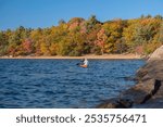 Couple paddling in a canoe on clear water lake, colorful fall trees with yellow, red, orange leaves along the shore in the background, sunny day, blue sky. Killbear Provincial Park, Ontario, Canada.