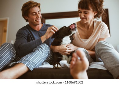 Couple Pampering A Dog Sitting On Bed At Home. Man And Woman Sitting With Their Pet Dog On Bed And Playing With It.