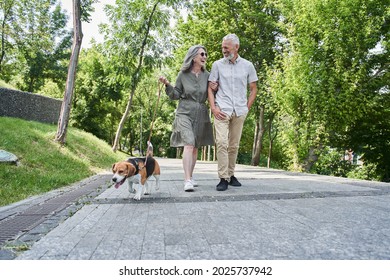 Couple Of Pensioner Enjoying Summer Walking While Going Through The Park