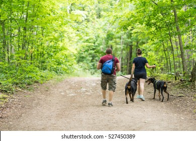 Couple Of People Hiking Together In The Woods Down A Dirt Path On A Beautiful Summer Day. Green Canopy Of Trees Above Them. View From The Back Of People - Full Body.