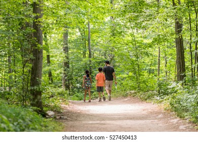 Couple Of People Hiking Together In The Woods Down A Dirt Path On A Beautiful Summer Day. Green Canopy Of Trees Above Them. View From The Back Of People - Full Body.