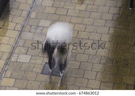 Similar – Image, Stock Photo go for a walk Dog 1 Animal