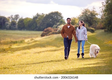 Paar mit Haustier Golden Retriever, der auf dem Weg durch das Feld auf dem Land wandert