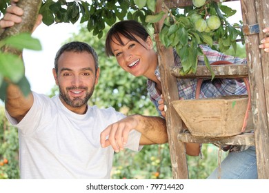 Couple Picking Fruit