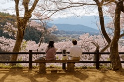 A Couple Picnic On A Wood Bench Under Sakura Trees, Enjoying The Panoramic View And Hanami (a Leisure Activity Of Admiring Cherry Blossoms In Spring), In Takato Castle Ruins Park, Ina, Nagano, Japan