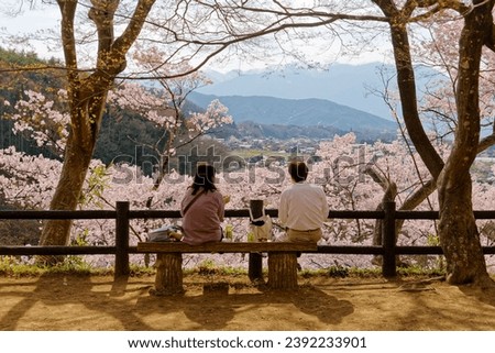 A couple picnic on a wood bench under Sakura trees, enjoying the panoramic view and Hanami (a leisure activity of admiring cherry blossoms in spring), in Takato Castle Ruins Park, Ina, Nagano, Japan