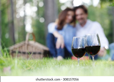 Couple At Picnic In The Park