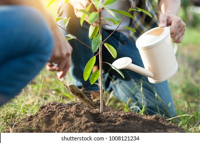 couple planting and watering a tree together on a summer day in park, volunteering, charity people and ecology Environment and ecology concept - Powered by Shutterstock