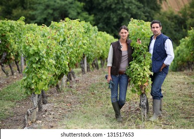 Couple Posing In A Vineyard