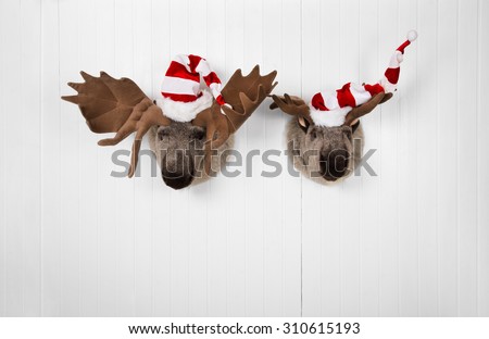 Couple of reindeer hanging on a wall for christmas decoration.