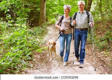 Couple Of Seniors Hiking With Dog In Forest In Summer