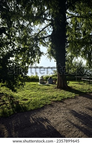 Couple  sitting by the lakeshore under trees in a park at sunset