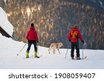 Couple skiing with a dog 