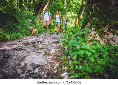 Couple With A Small Yellow Dog Hiking In Forest