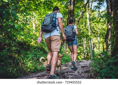 Couple With A Small Yellow Dog Hiking In Forest