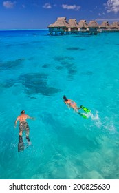 Couple Snorkeling In The Blue Lagoon,   Bora Bora, French Polynesia, South Pacific