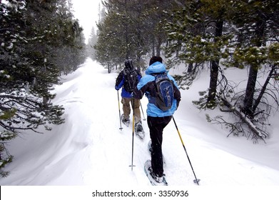 Couple Snowshoeing In Colorado