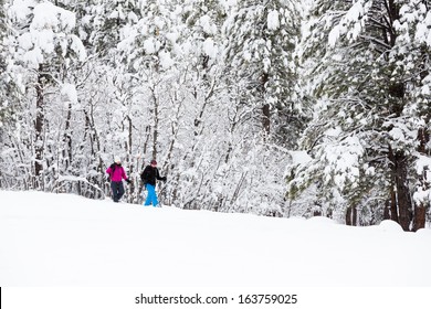 Couple Snowshoeing in a Winter Wonderland - Powered by Shutterstock