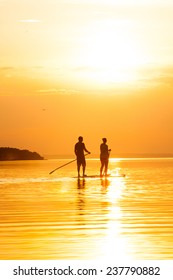 Couple Stand Up Paddle Boarding At Sunset