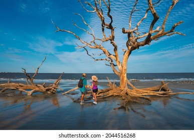 Couple standing on the beach with weathered trees at sunset. People relaxing on the beach. Driftwood Beach on Jekyll Island, Georgia, USA.